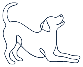 Perro estirándose
