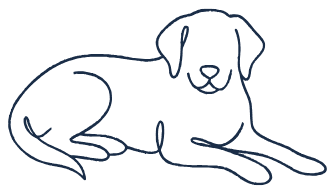 Perro echado